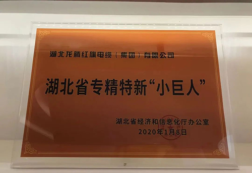 专精特新小巨人企业.jpg