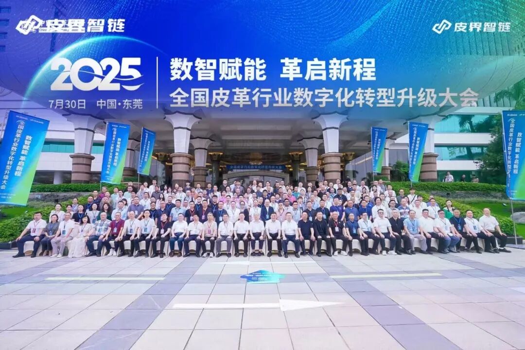 广东皮界智链科技有限公司项目案例-第4张图片-深圳中创商业咨询