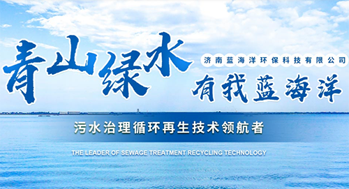 济南蓝海洋环保科技有限公司.png