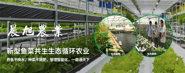 湖南晨旭农业科技有限公司.png