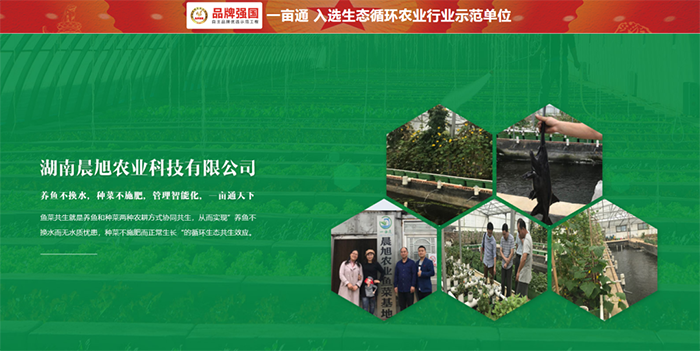 生态农业创新孵化平台.png