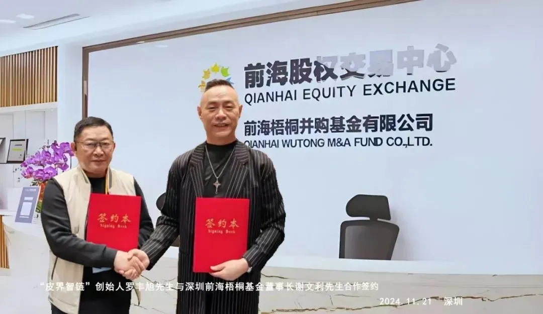 广东皮界智链科技有限公司项目案例-第2张图片-深圳中创商业咨询